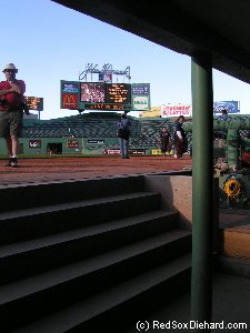 View from the dugout