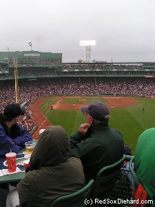View from the right field roof