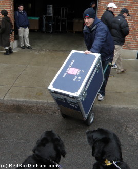 A truck is loaded on the truck under the watchful eyes of the Lucchinos' dogs, Nagal and Vernell.